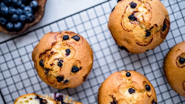 Giant Blueberry Muffins