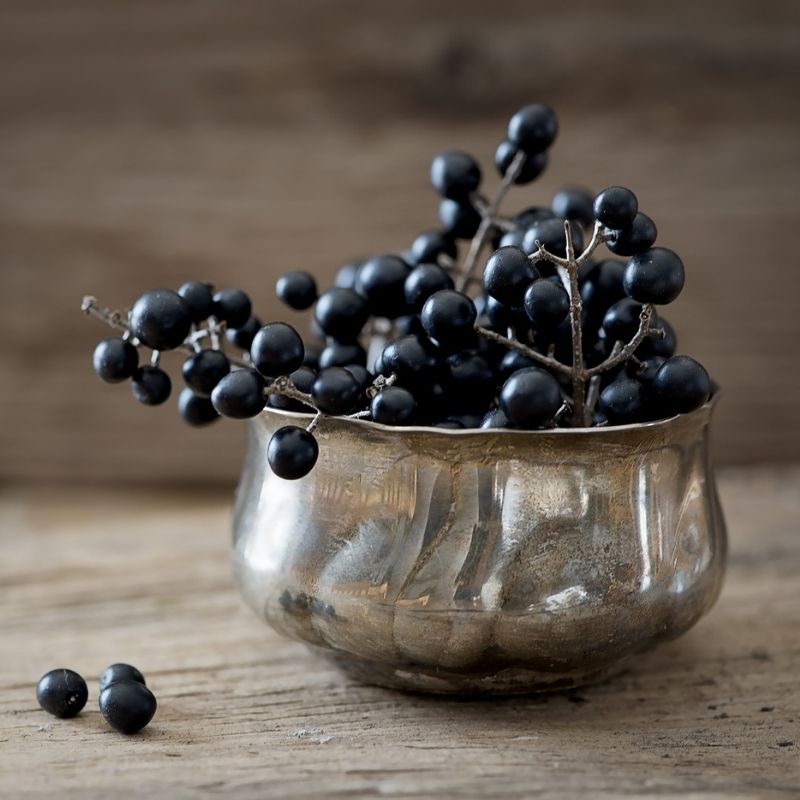 Healthy snack options from your Chicago area dietitian
